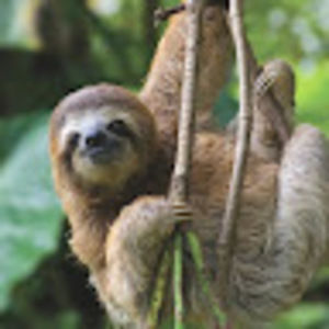 Meet your Posher, Joseph